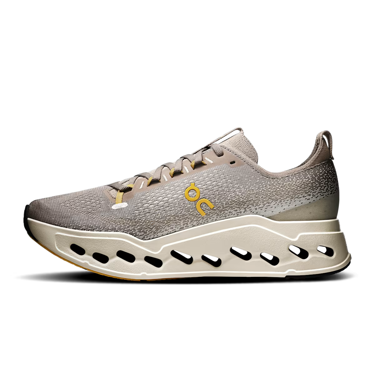 Running Cloudsurfer Max — Cinder Pelican