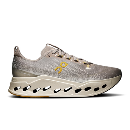 Running Cloudsurfer Max — Cinder Pelican